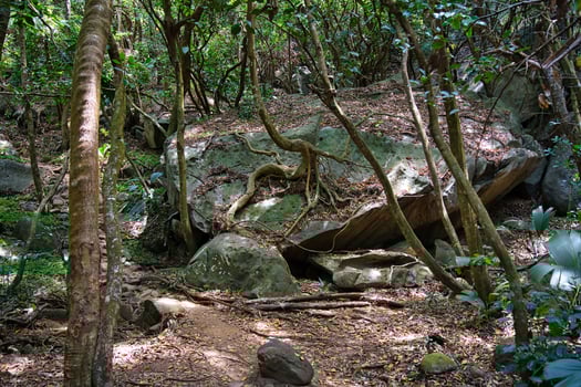 Anse major nature trail,huge granite rock photo