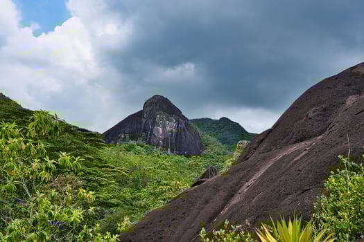 Anse major nature trail,huge granite rock, lush vegetation photo