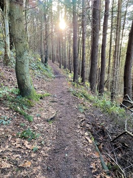A view of the Cheshire Countryside at Bickerton Hills photo