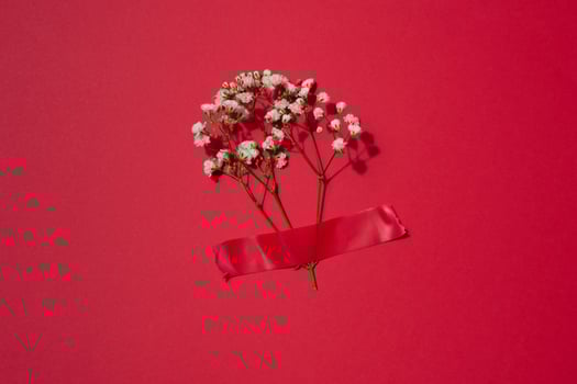 A bouquet of white gypsophila is glued with red electrical tape on a red background photo