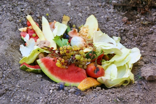Domestic waste for compost from fruits and vegetables in garden. photo