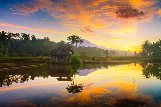 Beautiful morning view indonesia. Panorama Landscape paddy fields with beauty color and sky natural light photo