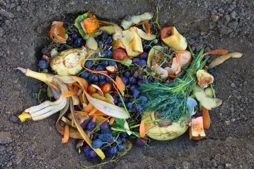 Domestic waste for compost from fruits and vegetables in garden. photo
