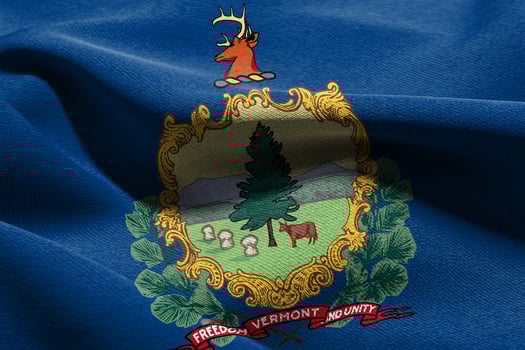 3D illustration flag of Vermont is a state of United States. Wav photo