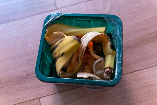 plastic container with fruit and vegetable waste photo