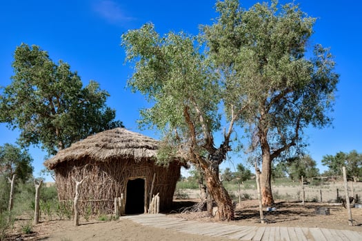 Explore the village of Lop Nur people in Xinjiang photo