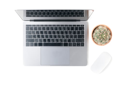 Modern workspace with small cactus and laptop photo