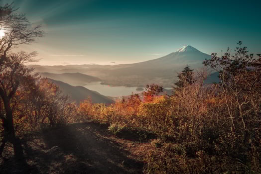 Mt. Fuji over Lake Kawaguchiko with autumn foliage at sunrise in Fujikawaguchiko, Japan. photo