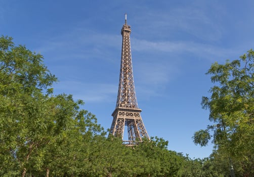 view on Eiffel tower from park, France photo