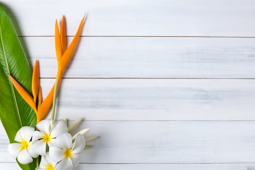 white wood texture with Heliconia and plumeria flower photo