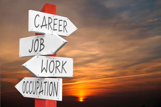 Career, Job, Work, Occupation - Wooden Signpost with Four Arrows photo