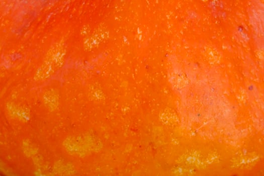 close up of orange pumpkin photo
