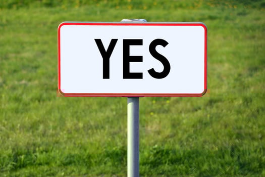 Yes - White Sign on a Grass photo