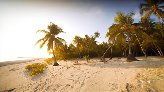 Tropical Paradise or Coconut Palm Beach or White Sand Lagoon photo