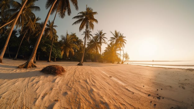 Tropical Paradise or Coconut Palm Beach or White Sand Lagoon photo