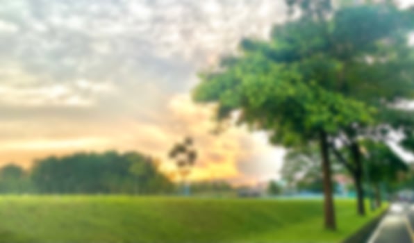 Garden urban abstract texture background in the evening defocused, blurred, light bokeh photo