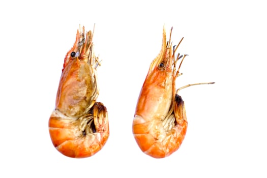 Grilled shrimps isolated on white background. Concept, Seafood. Delicious, favorite menu for party or outdoor barbeque or picnic. Healthy food. photo
