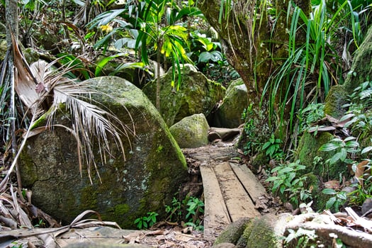copolia trail, old wooden bridge between rocks 1Mahe Seychelles photo