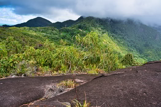 copolia trail, View of the peak of morn blanc mountain, Mahe Seychelles photo