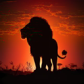 lion silhouette aesthetic photo