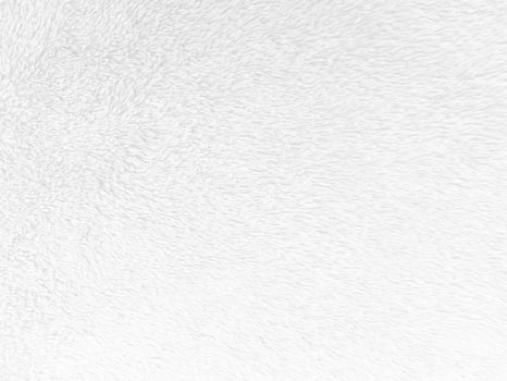 White clean wool texture background. light natural sheep wool. white seamless cotton. texture of fluffy fur for designers. close-up fragment white wool carpet. photo