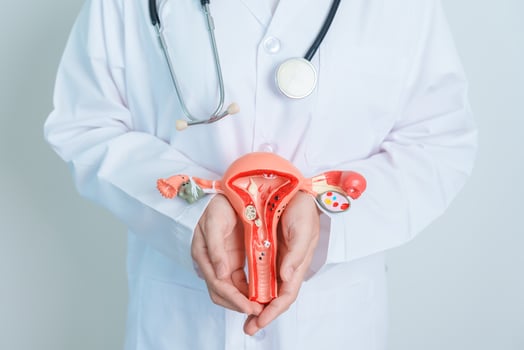 Doctor holding Uterus and Ovaries model. Ovarian and Cervical cancer, Cervix disorder, Endometriosis, Hysterectomy, Uterine fibroids, Reproductive system and Pregnancy concept photo