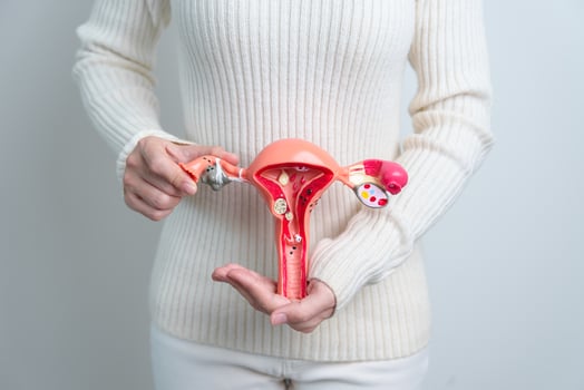 Woman holding Uterus and Ovaries model. Ovarian and Cervical cancer, Cervix disorder, Endometriosis, Hysterectomy, Uterine fibroids, Reproductive system and Pregnancy concept photo