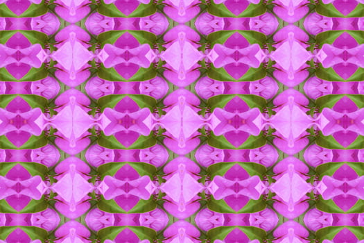 flower beautiful  seamless pattern  abstract simple background photo