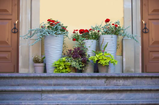 Doors, steps and flower pots. Background city wall. photo