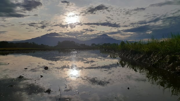 The sun rises in the fields photo
