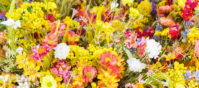 Vintage flowers market on public street - retro cottagecore style. photo