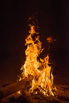 firecamp in night time  4 photo