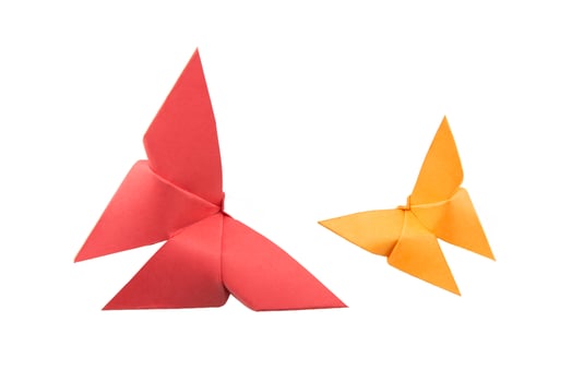butterfly Origami on white background photo