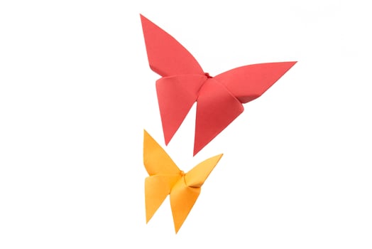 butterfly Origami on white background photo
