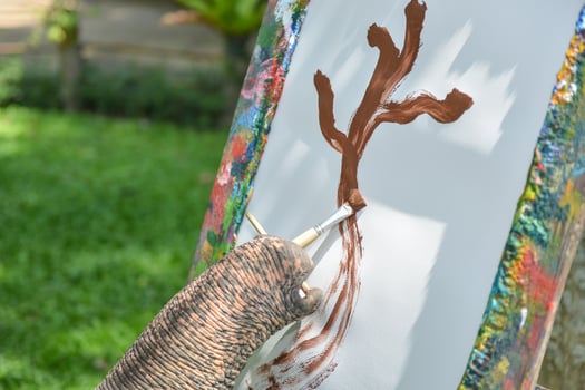 Elephant Painting on white canvas photo