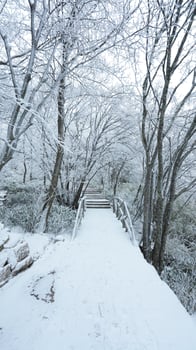 The beautiful frozen mountains view coverd by the white snow and ice in winter photo
