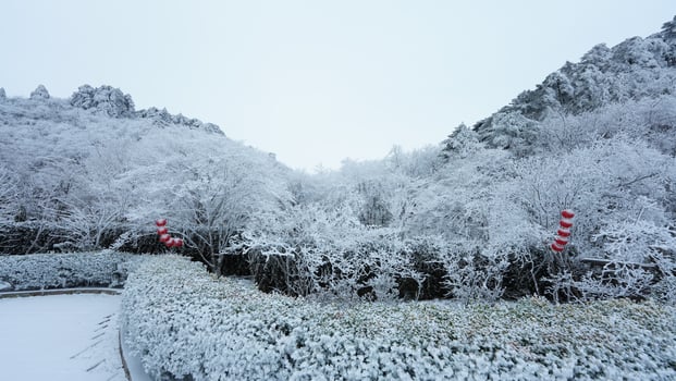 The beautiful frozen mountains view coverd by the white snow and ice in winter photo