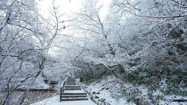 The beautiful frozen mountains view coverd by the white snow and ice in winter photo