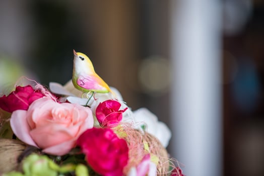 A fake bird and Colorful rose flower in pot photo