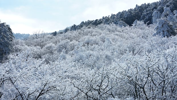 The beautiful frozen mountains view coverd by the white snow and ice in winter photo