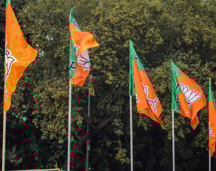 Bharatiya Janata Party Flag of Indian political party, BJP Bhartiya Janta Party Flag Waving during PM road show in Delhi, India photo
