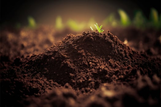 Close up soil nature background. Fertile soil with organic saplings. photo