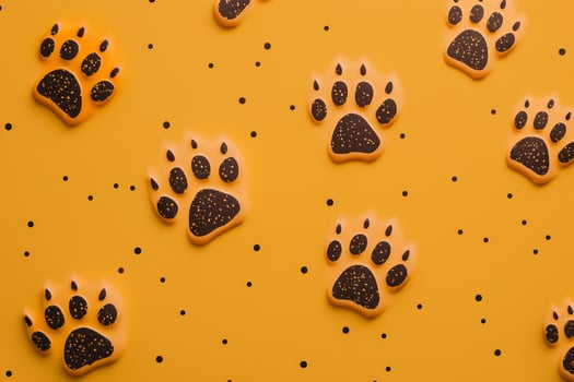 dog paw prints on yellow background photo