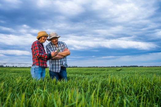Farmers examining the crop. photo