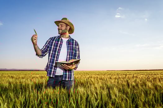 A farmer examining the crop photo