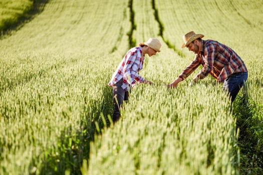 Man and woman are working together in partnership photo