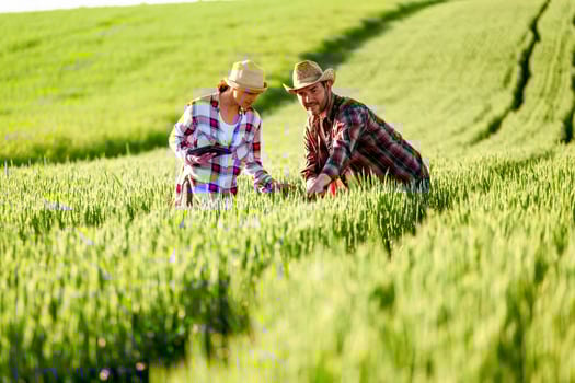Man and woman are working together in partnership photo