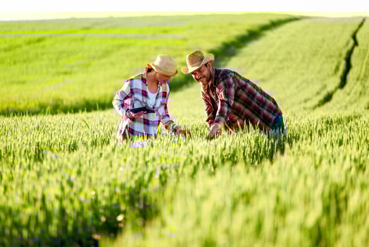 Man and woman are working together in partnership photo