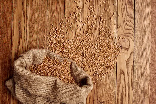 Cereal bag organic ingredients healthy food kitchen photo