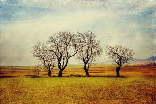 serene minimalist landscape aragon spain in winter day photo